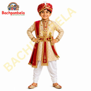 Rajasthani Raja King Fancy Dress Costume on Rent