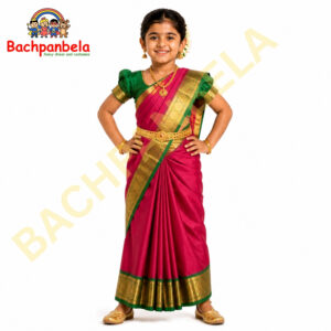 Telugu Girl Fancy Dress Costume on Rent