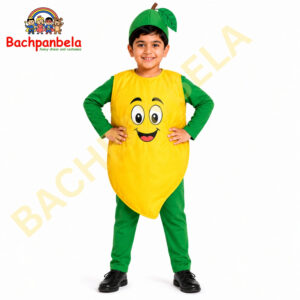 Mango Fancy Dress Costume on Rent