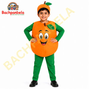 Orange Fancy Dress Costume on Rent