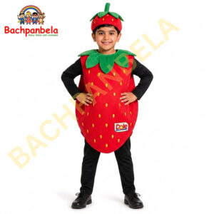 Strawberry Fancy Dress Costume on Rent