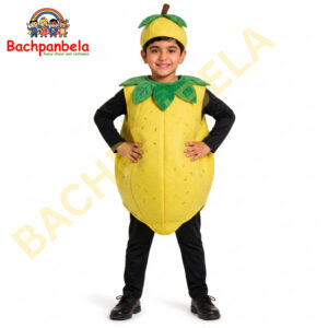 Lemon Nimbu Fancy Dress Costume on Rent