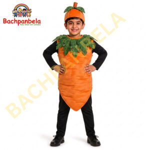 Carrot Gajar Fancy Dress Costume on Rent