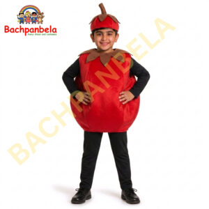 Tomato Tamatar Fancy Dress Costume on Rent