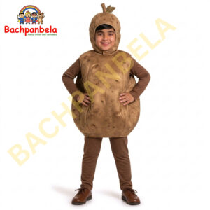 Potato Aaloo Fancy Dress Costume on Rent