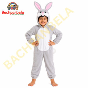 Rabbit Khargosh Fancy Dress Costume on Rent