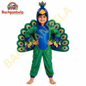 Peacock Mor Fancy Dress Costume on Rent