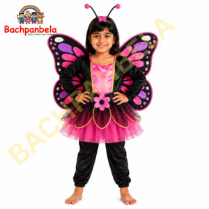 Butterfly Titli Fancy Dress Costume on Rent