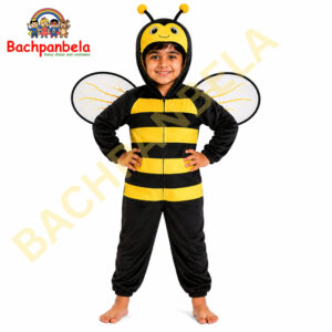 Bee Madhumakhi Fancy Dress Costume on Rent
