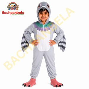Pigeon Kabutar Fancy Dress Costume on Rent