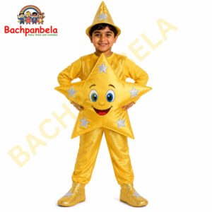 Star Fancy Dress Costume on Rent